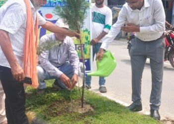एक पेड़ माँ के नाम’ अभियान के तहत नगर परिषद ने लगाए सैकड़ों पौधे