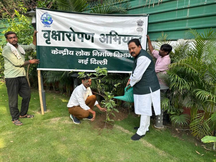 विश्व पर्यावरण दिवस पर सांसद प्रदीप कुमार सिंह ने किया वृक्षारोपण